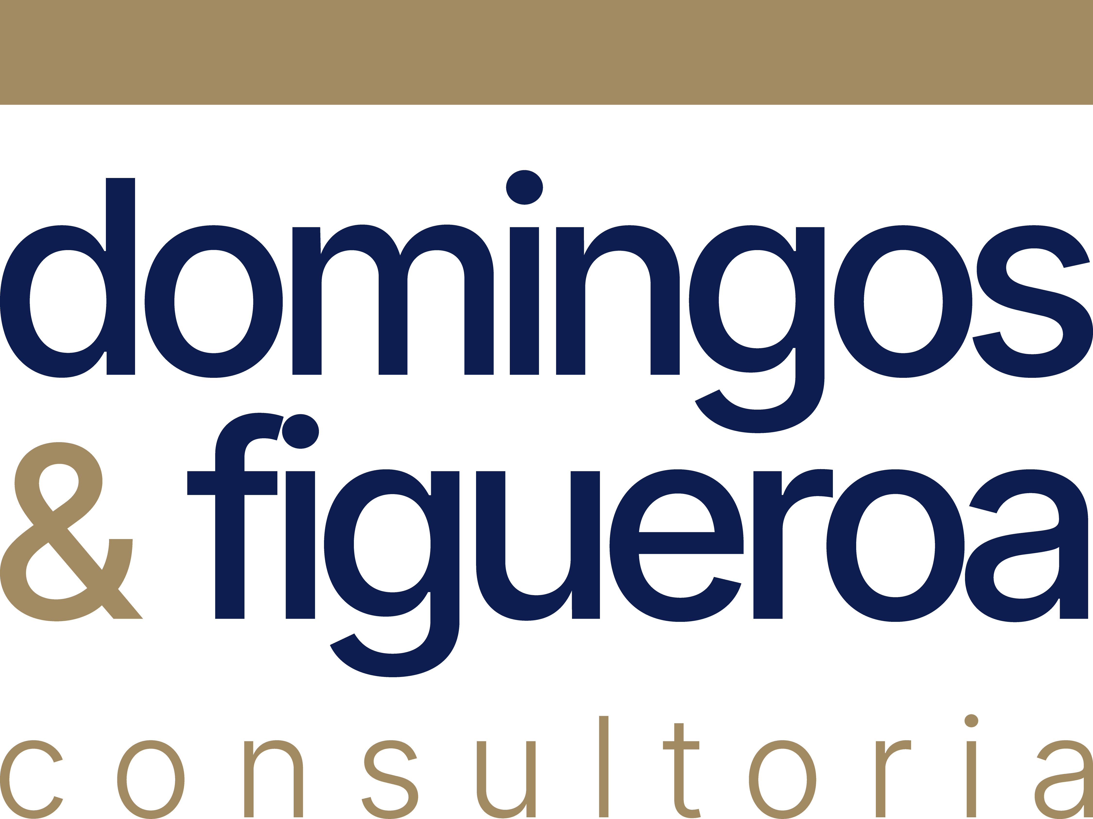 Domingos & Figueroa Consultoria